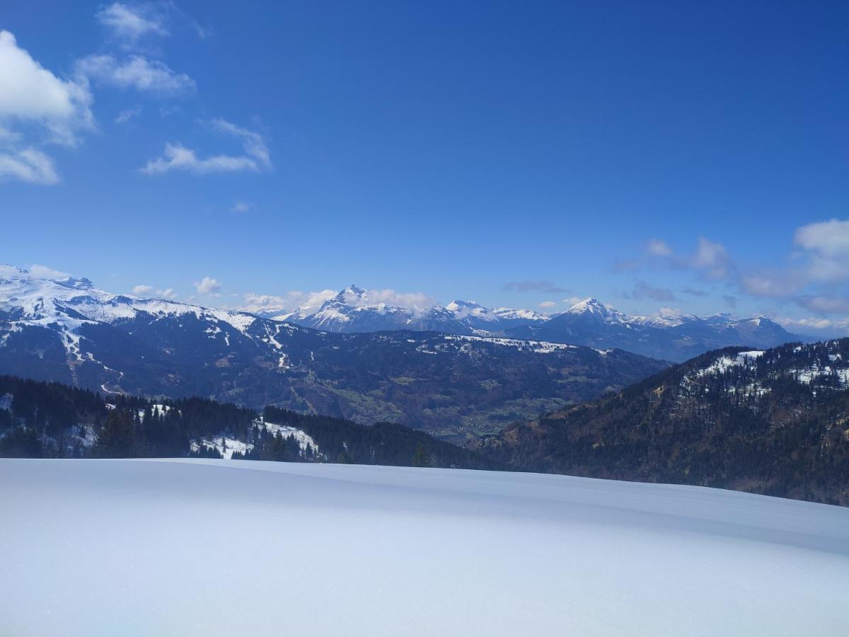 Samoens Residence Grand Tetras 4 Personnes Piscine Eksteriør bilde